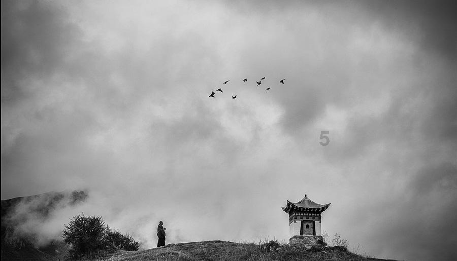 预计2029年中国新能源商用车市场规模将达到6278.5亿美元